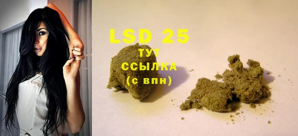 PSILOCYBIN Баксан
