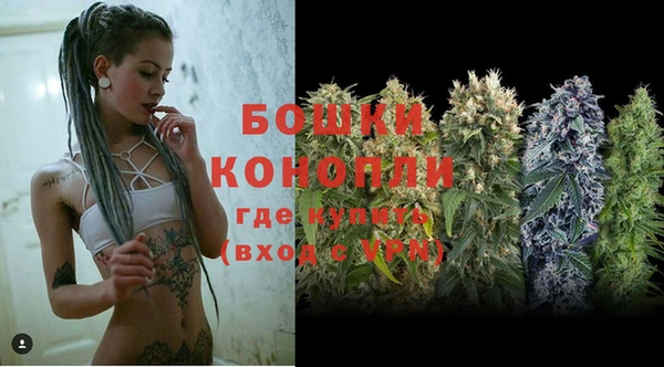 PSILOCYBIN Баксан