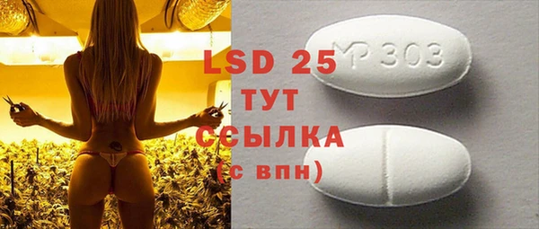 PSILOCYBIN Баксан