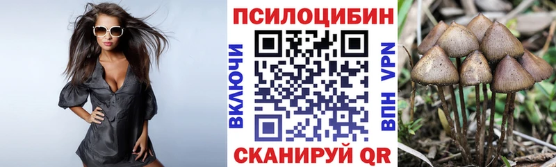 MEGA ссылки Судак Галлюциногенные грибы мухоморы